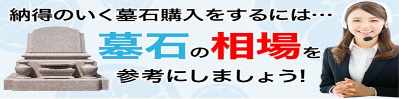 ΂̑TCg
